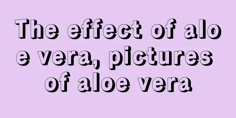 The effect of aloe vera, pictures of aloe vera