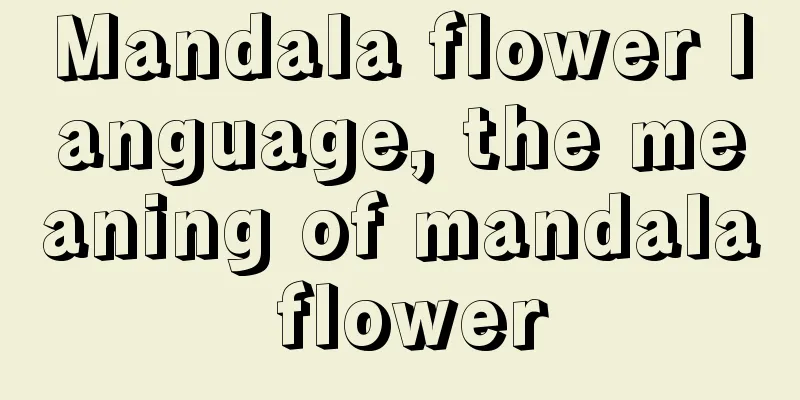 Mandala flower language, the meaning of mandala flower