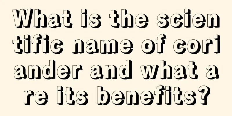 What is the scientific name of coriander and what are its benefits?