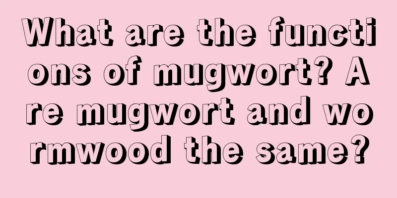 What are the functions of mugwort? Are mugwort and wormwood the same?