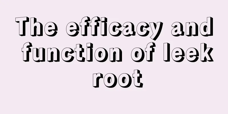 The efficacy and function of leek root