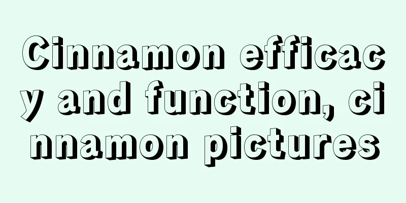 Cinnamon efficacy and function, cinnamon pictures