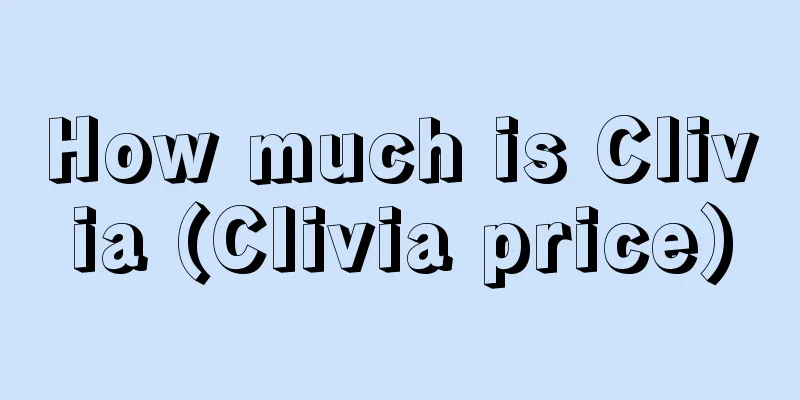 How much is Clivia (Clivia price)