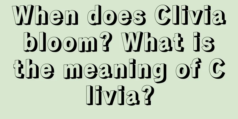 When does Clivia bloom? What is the meaning of Clivia?