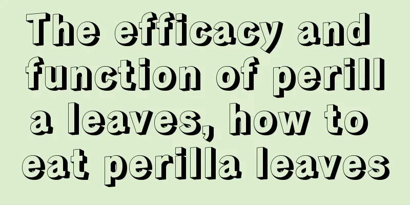 The efficacy and function of perilla leaves, how to eat perilla leaves