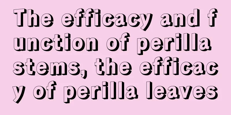 The efficacy and function of perilla stems, the efficacy of perilla leaves