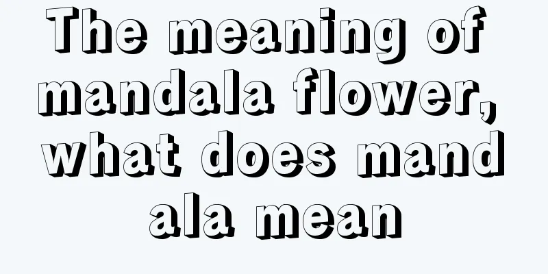 The meaning of mandala flower, what does mandala mean