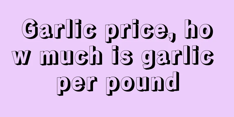 Garlic price, how much is garlic per pound