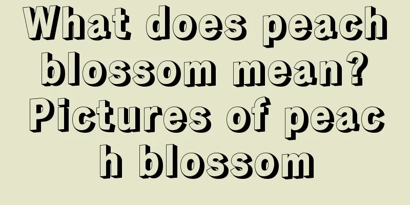 What does peach blossom mean? Pictures of peach blossom