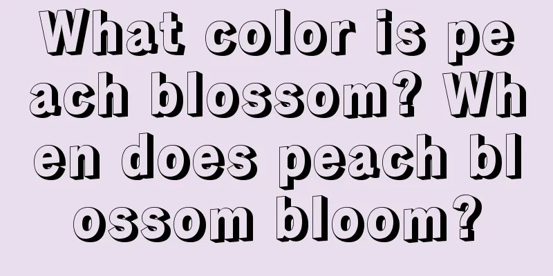 What color is peach blossom? When does peach blossom bloom?