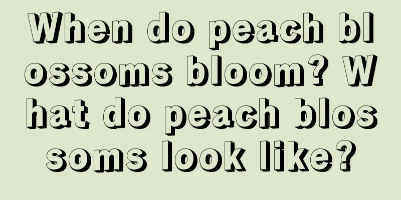 When do peach blossoms bloom? What do peach blossoms look like?