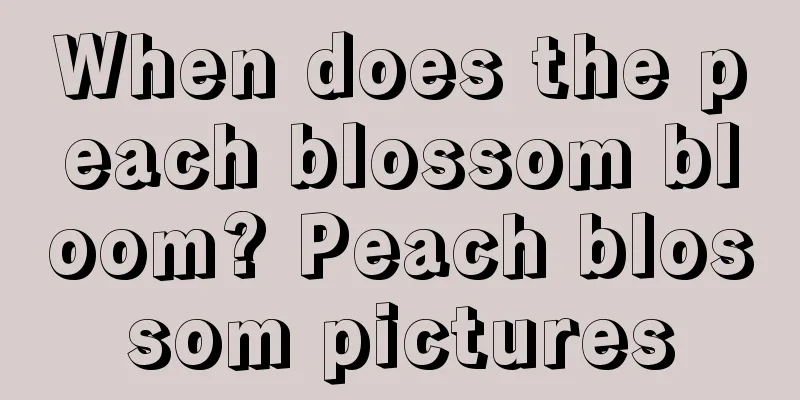 When does the peach blossom bloom? Peach blossom pictures