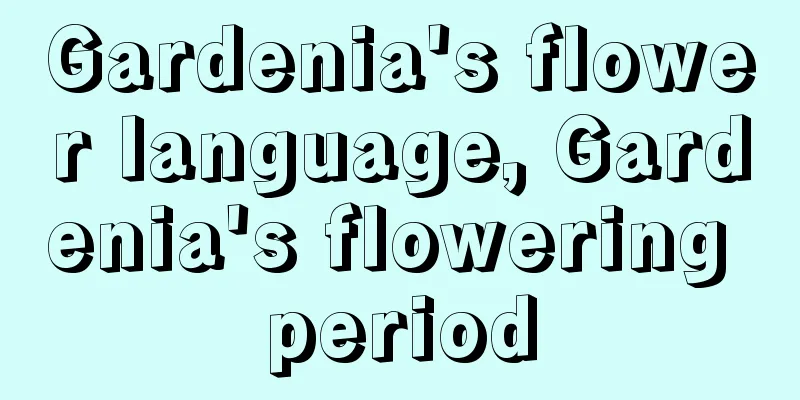 Gardenia's flower language, Gardenia's flowering period