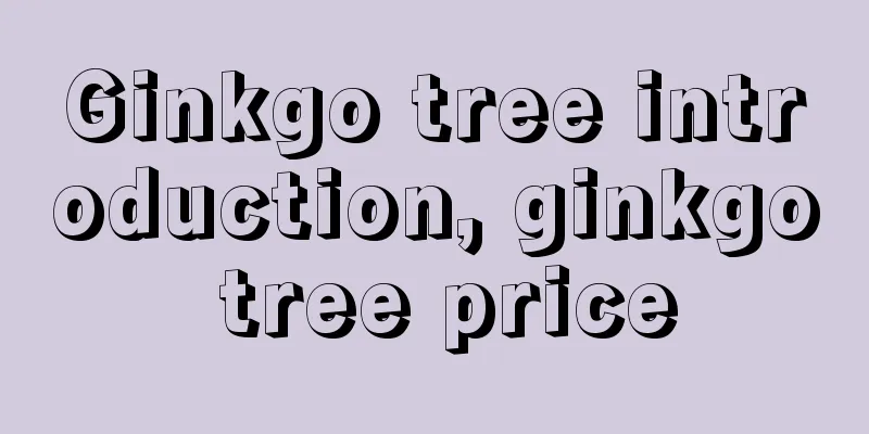 Ginkgo tree introduction, ginkgo tree price