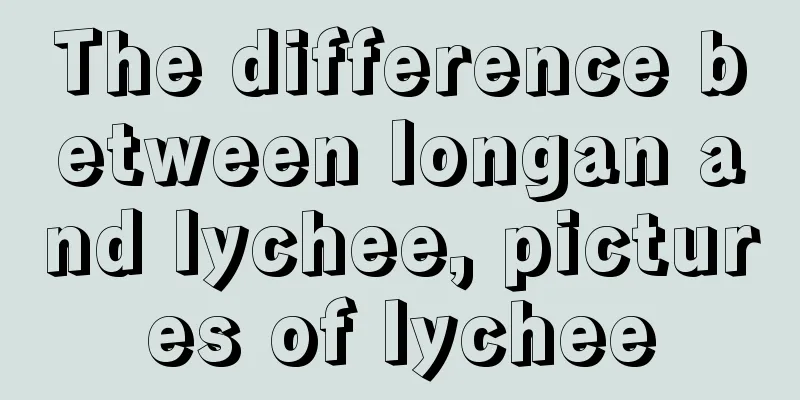 The difference between longan and lychee, pictures of lychee