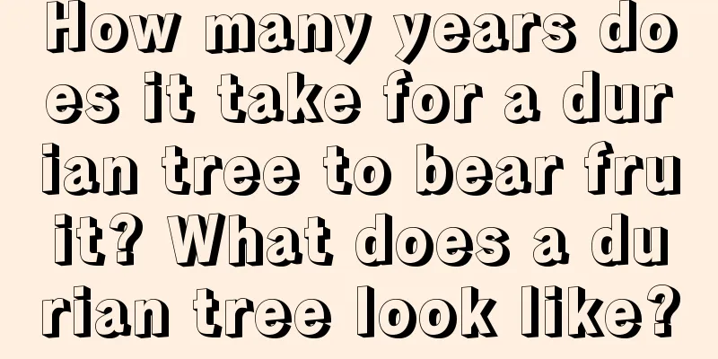 How many years does it take for a durian tree to bear fruit? What does a durian tree look like?