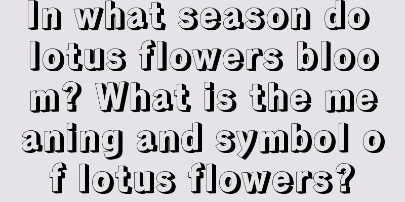 In what season do lotus flowers bloom? What is the meaning and symbol of lotus flowers?