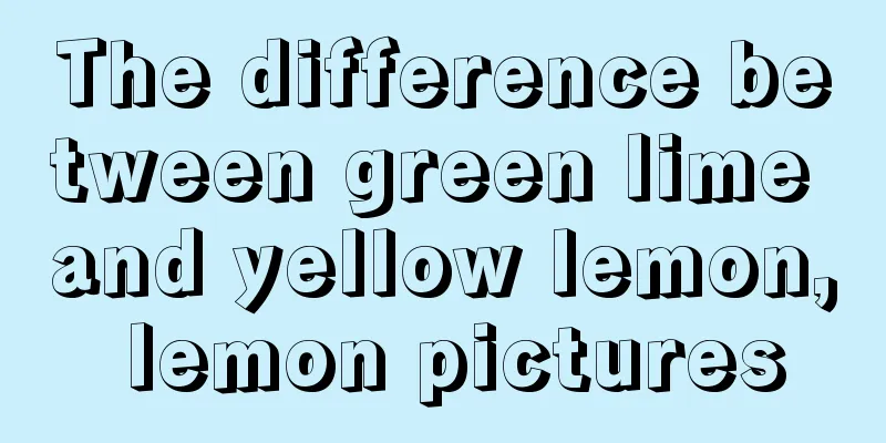 The difference between green lime and yellow lemon, lemon pictures