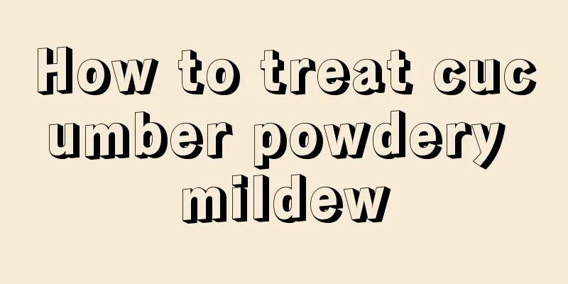 How to treat cucumber powdery mildew