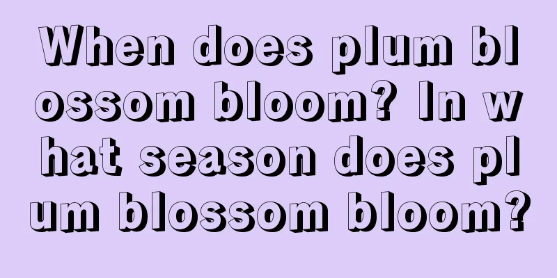 When does plum blossom bloom? In what season does plum blossom bloom?