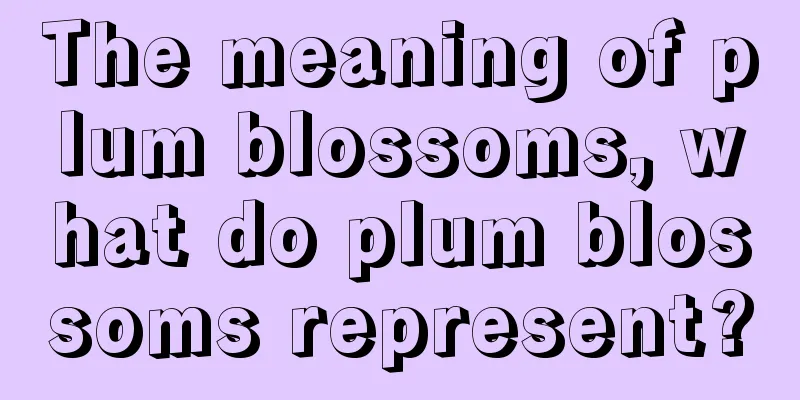 The meaning of plum blossoms, what do plum blossoms represent?