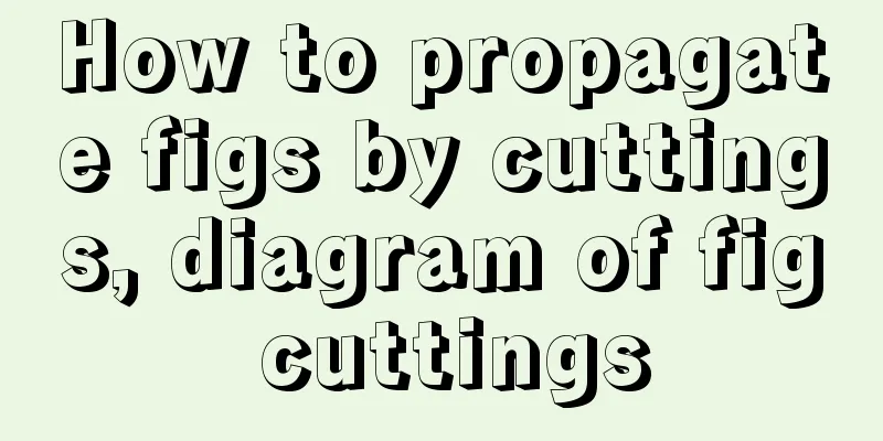 How to propagate figs by cuttings, diagram of fig cuttings