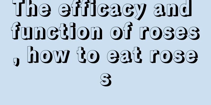 The efficacy and function of roses, how to eat roses