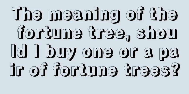 The meaning of the fortune tree, should I buy one or a pair of fortune trees?