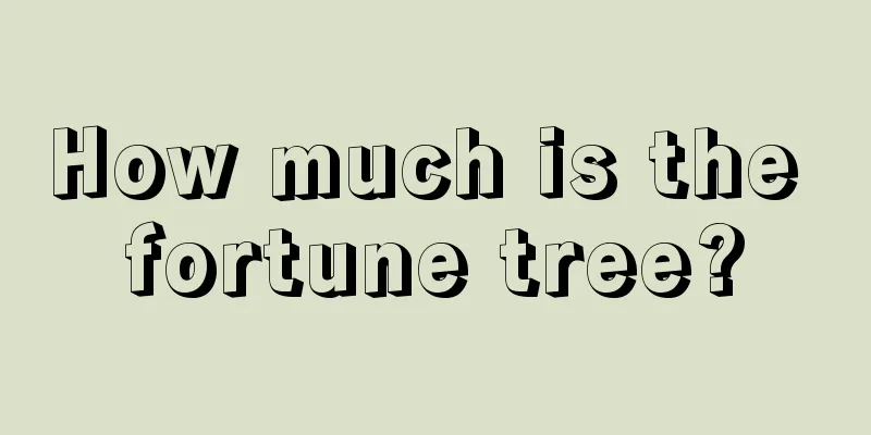 How much is the fortune tree?