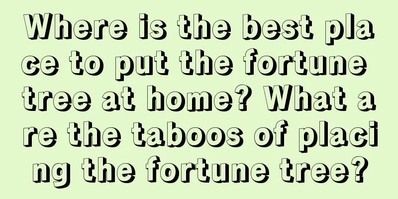 Where is the best place to put the fortune tree at home? What are the taboos of placing the fortune tree?