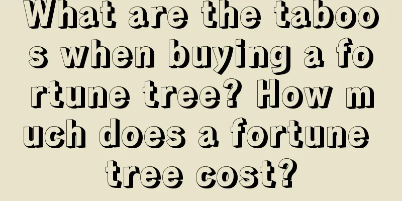 What are the taboos when buying a fortune tree? How much does a fortune tree cost?