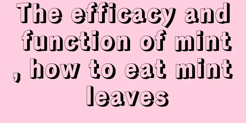 The efficacy and function of mint, how to eat mint leaves