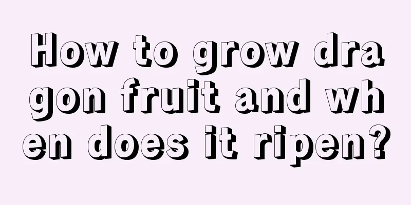 How to grow dragon fruit and when does it ripen?