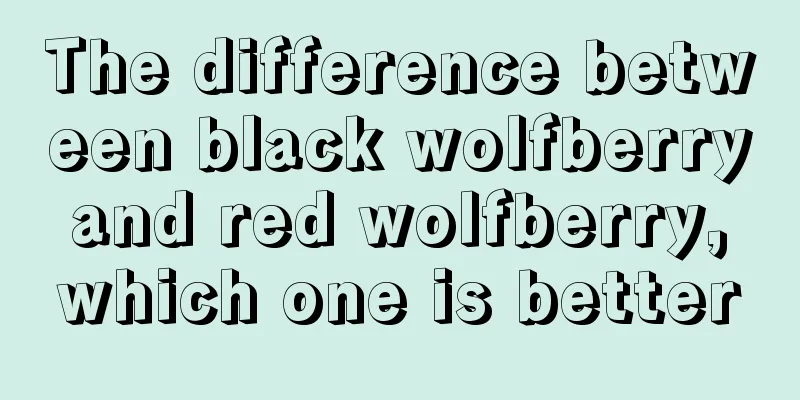 The difference between black wolfberry and red wolfberry, which one is better