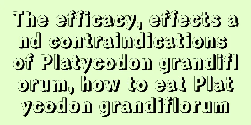 The efficacy, effects and contraindications of Platycodon grandiflorum, how to eat Platycodon grandiflorum