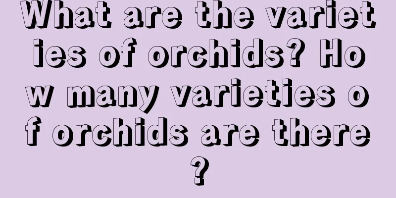 What are the varieties of orchids? How many varieties of orchids are there?