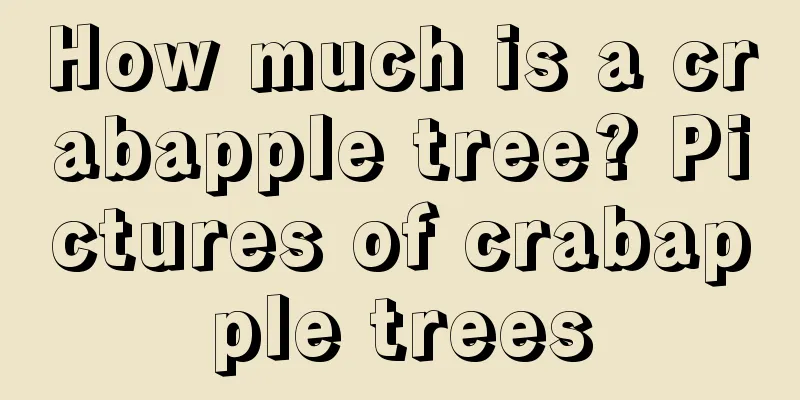 How much is a crabapple tree? Pictures of crabapple trees