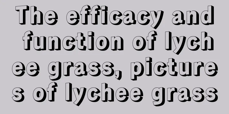 The efficacy and function of lychee grass, pictures of lychee grass