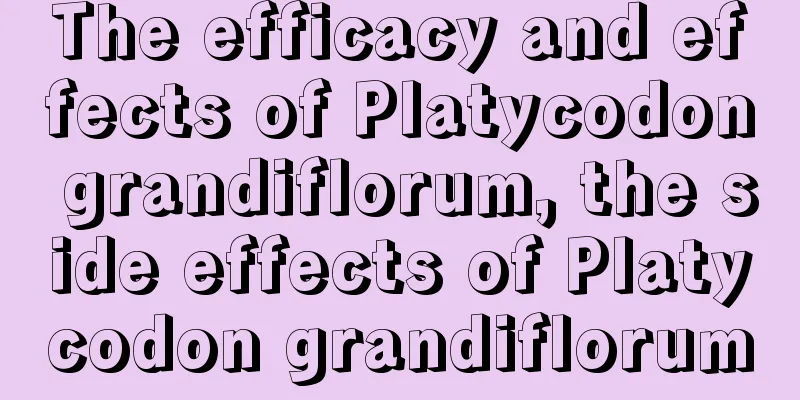 The efficacy and effects of Platycodon grandiflorum, the side effects of Platycodon grandiflorum