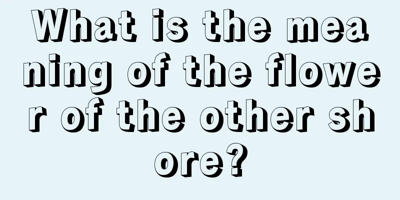 What is the meaning of the flower of the other shore?