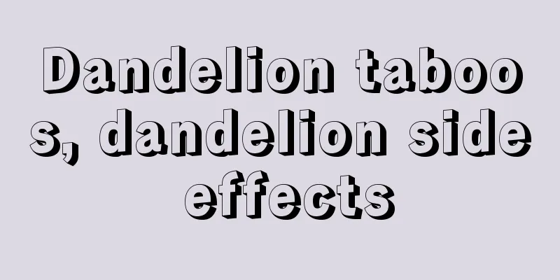 Dandelion taboos, dandelion side effects