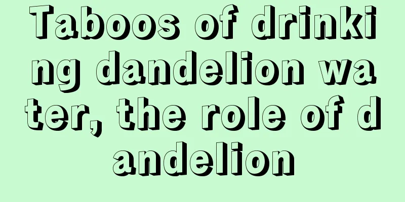 Taboos of drinking dandelion water, the role of dandelion