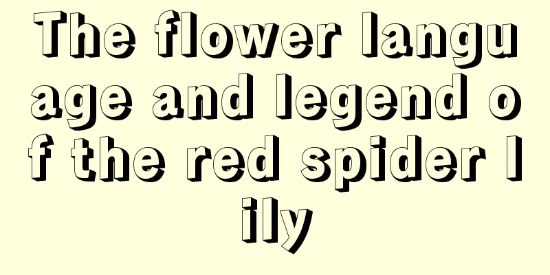 The flower language and legend of the red spider lily