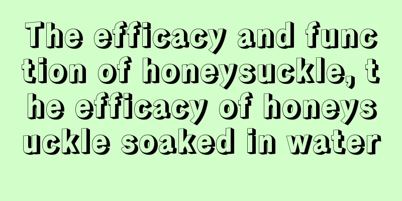 The efficacy and function of honeysuckle, the efficacy of honeysuckle soaked in water