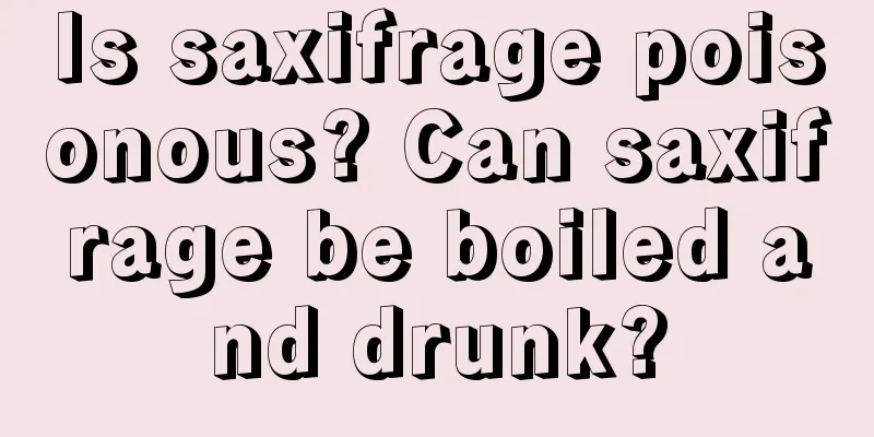 Is saxifrage poisonous? Can saxifrage be boiled and drunk?