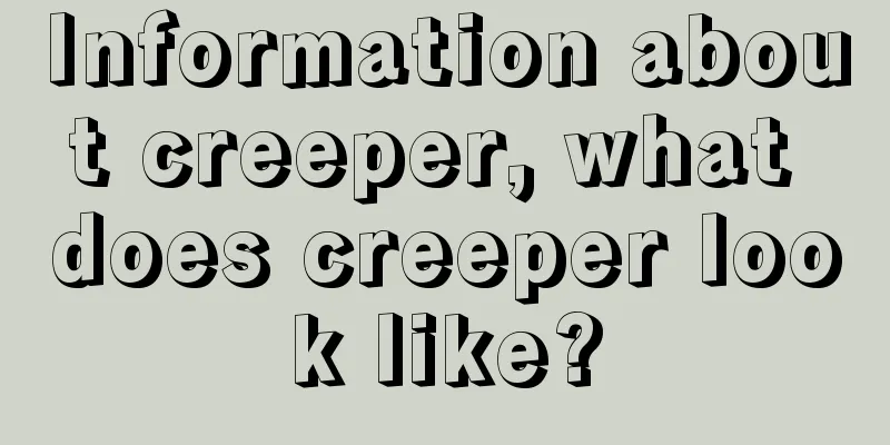 Information about creeper, what does creeper look like?