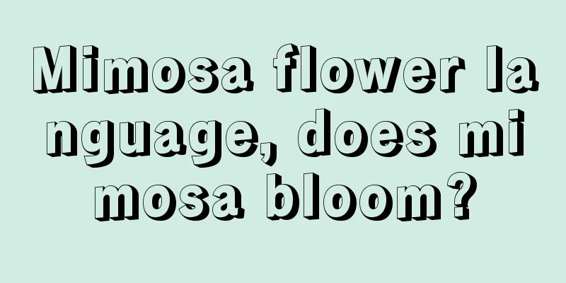 Mimosa flower language, does mimosa bloom?