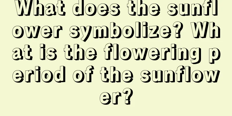 What does the sunflower symbolize? What is the flowering period of the sunflower?