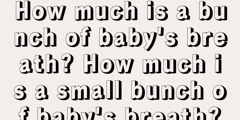 How much is a bunch of baby's breath? How much is a small bunch of baby's breath?