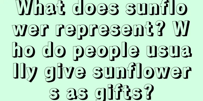 What does sunflower represent? Who do people usually give sunflowers as gifts?